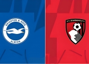 开云平台-布莱顿客场失利英超保级前景日益黯淡的简单介绍