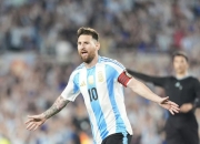 开云官网-关于国家队备战！重要的欧洲预选赛即将开打的信息