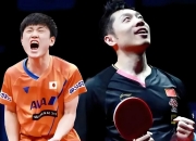 开云体育官网-包含瑞典乒乓球队翻盘英国乒乓球队，许昕制霸全场的词条