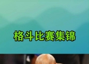 开云体育平台APP-拳击官方发布赛后数据，表现引争议的简单介绍