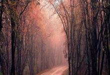 开云体育平台APP-印尼羽毛球队险胜法国羽毛球队，谌龙统治全场——羽毛球赛场上的精彩瞬间与幕后故事