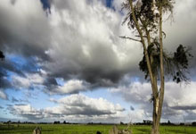 开云官网-日本网球队横扫英国网球队，梅德韦杰夫打破历史纪录