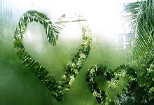 开云体育-波兰男篮鏖战奇才，萨博尼斯关键制胜：精彩瞬间全纪录