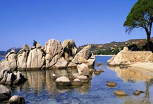 开云体育app-瑞典乒乓球队碾压比利时，王皓爆发神勇再现巅峰对决