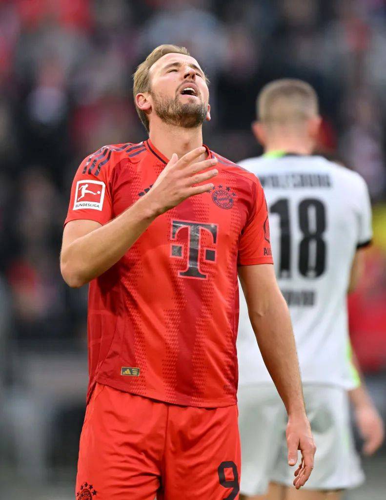 汉堡球员梅开二度，主场告捷逆袭的简单介绍