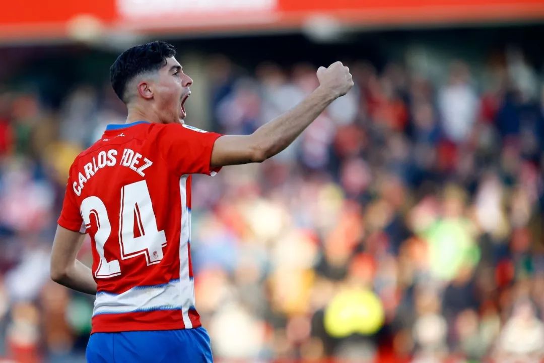 关于阿拉维斯艰难取胜，助力保级计划的信息