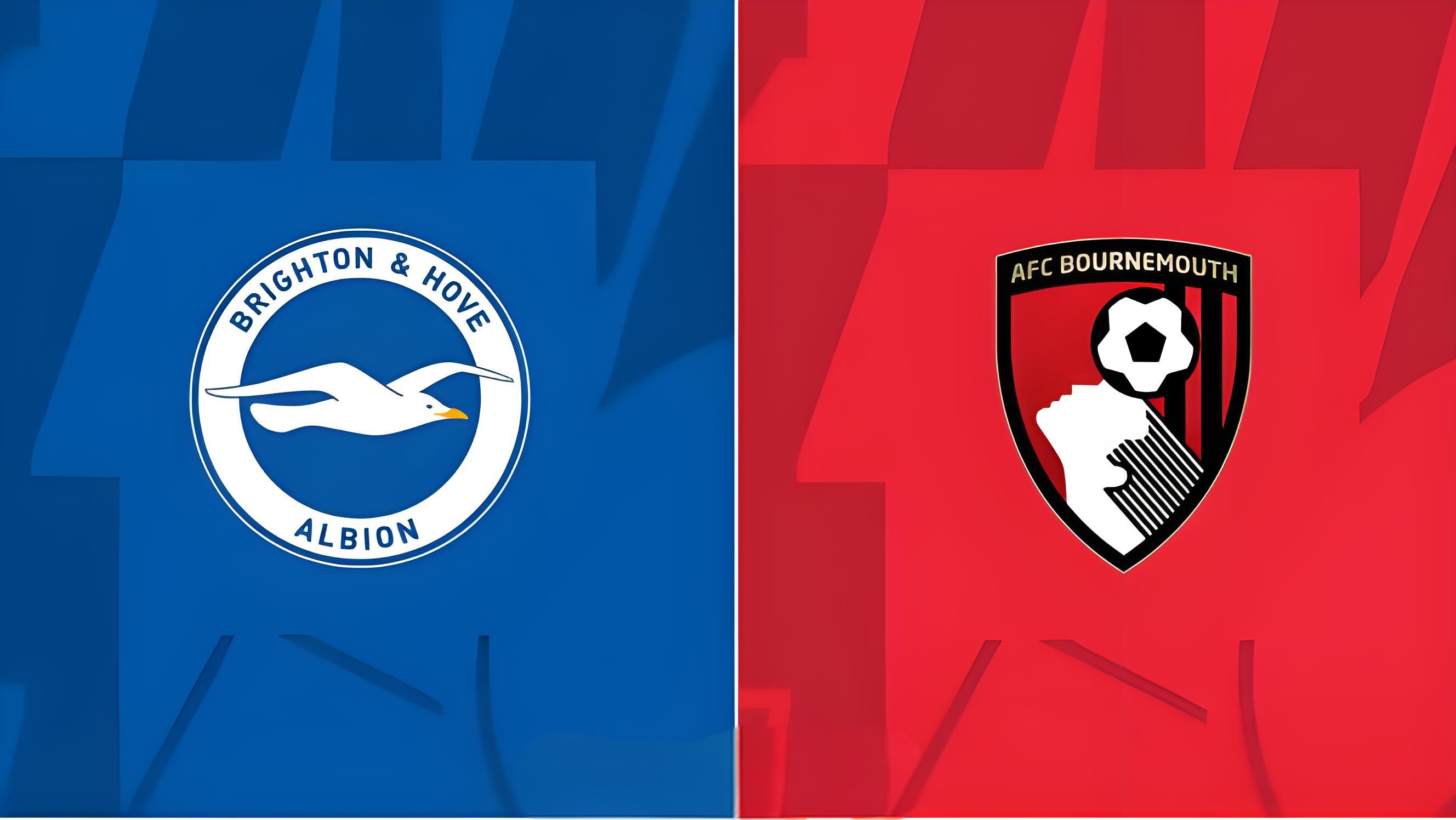 布莱顿客场失利英超保级前景日益黯淡的简单介绍