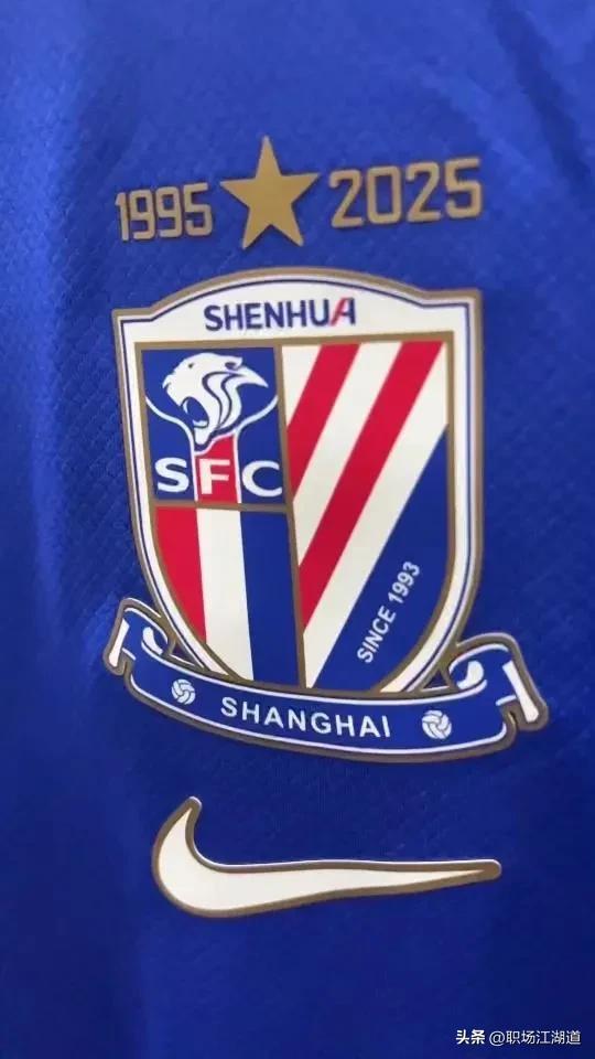 申花客场告负，积分榜岌岌可危的简单介绍