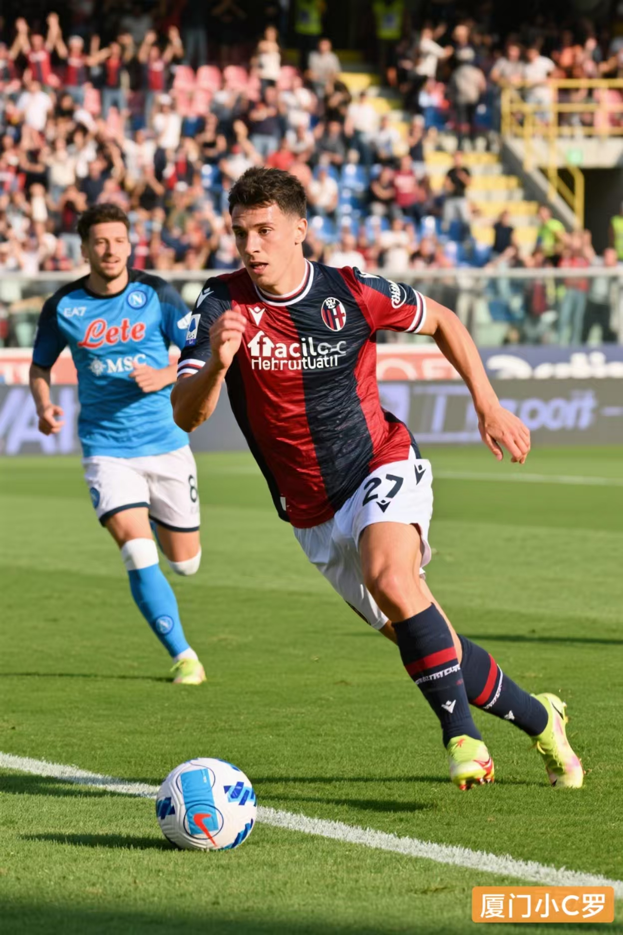 博洛尼亚主场再胜，保持不败的简单介绍