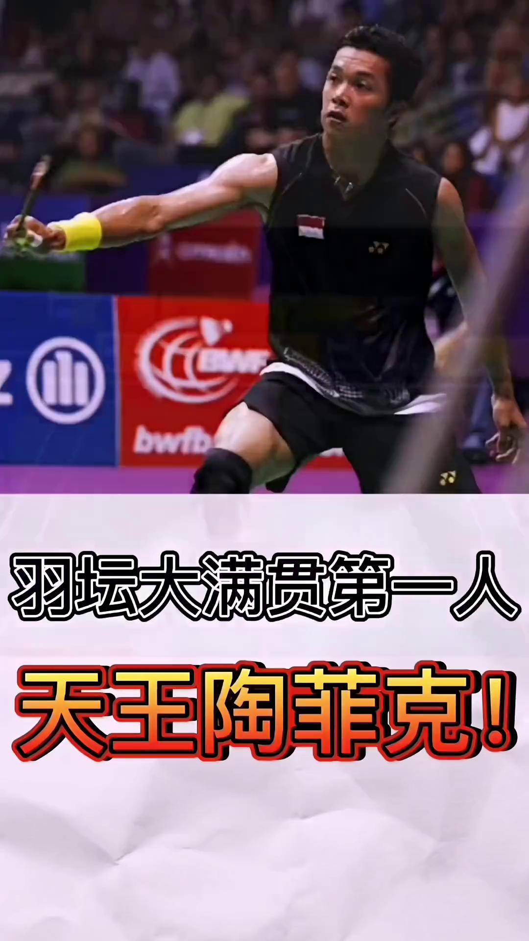 日本羽毛球队横扫韩国羽毛球队，陶菲克统治全场的简单介绍