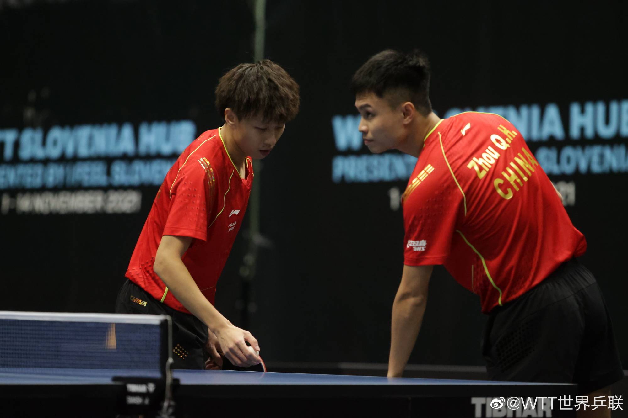 比利时乒乓球队绝杀韩国乒乓球队，波尔统治全场的简单介绍